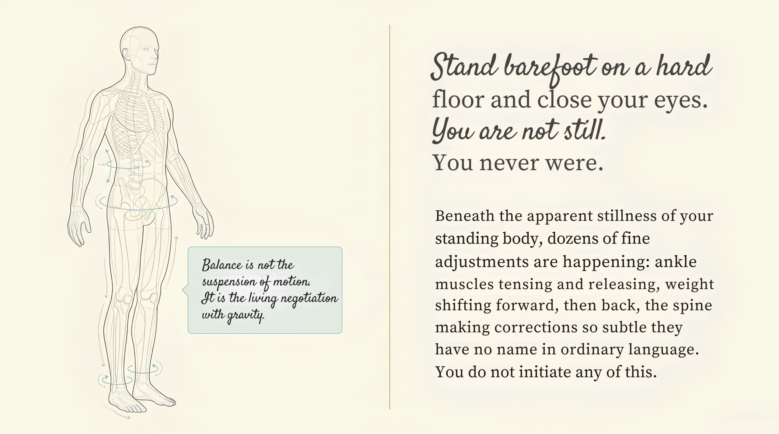 Anatomical diagram of the standing body showing the constant micro-adjustments of balance — ankle muscles, weight shifts, spinal corrections — with the text: Balance is not the suspension of motion. It is the living negotiation with gravity.