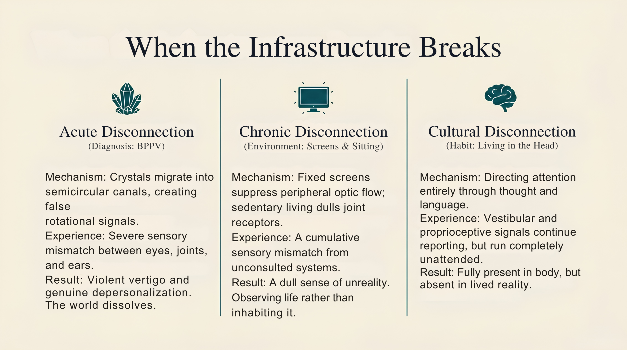 Three-column diagram titled When the Infrastructure Breaks, comparing acute disconnection (BPPV: crystals migrate, causing violent vertigo and depersonalisation), chronic disconnection (screens and sedentary habits causing sensory mismatch and a dull sense of unreality), and cultural disconnection (living in the head: signals run unattended, leading to absence in lived reality).