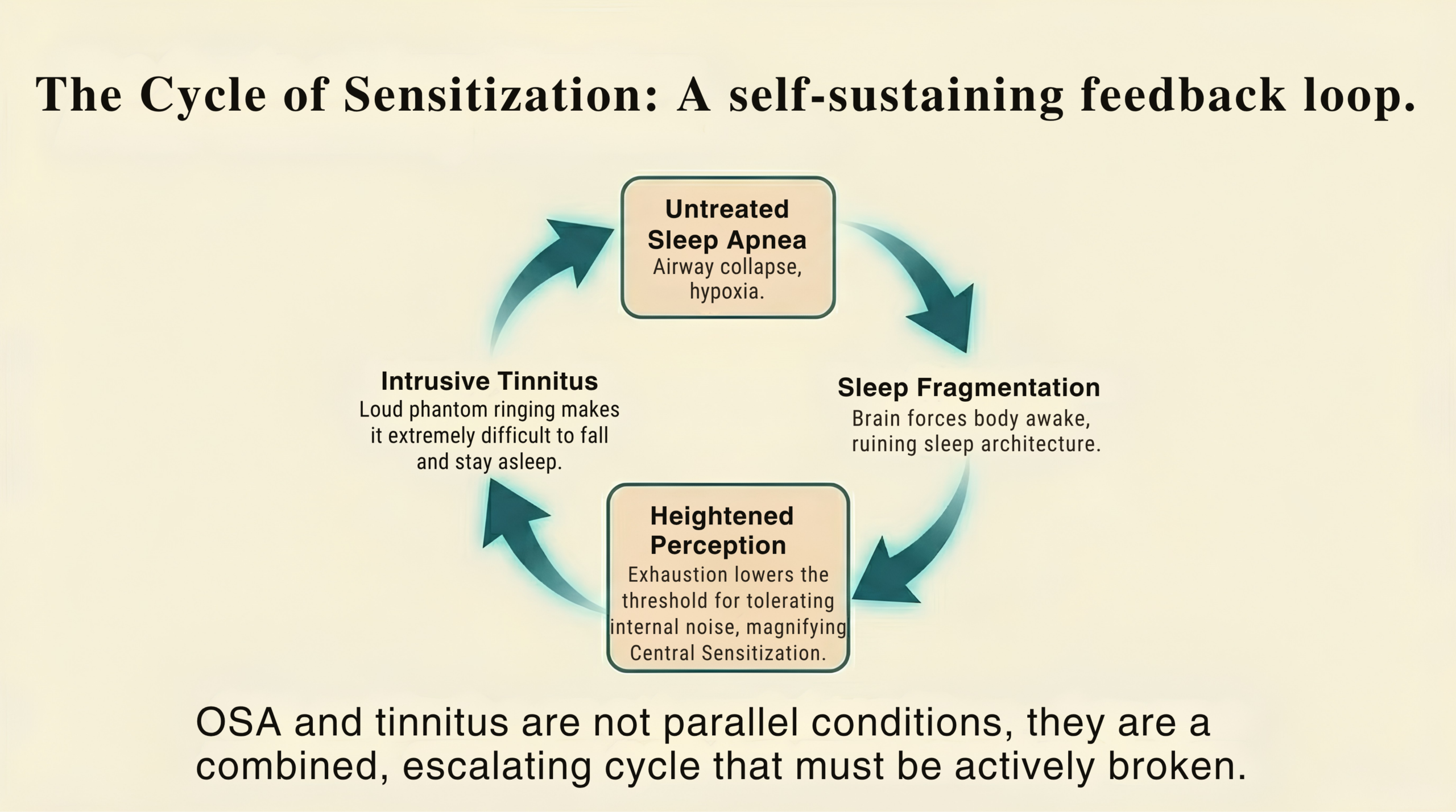Circular diagram showing the self-sustaining feedback loop between untreated sleep apnea, sleep fragmentation, heightened tinnitus perception, and intrusive tinnitus — a cycle that must be actively broken