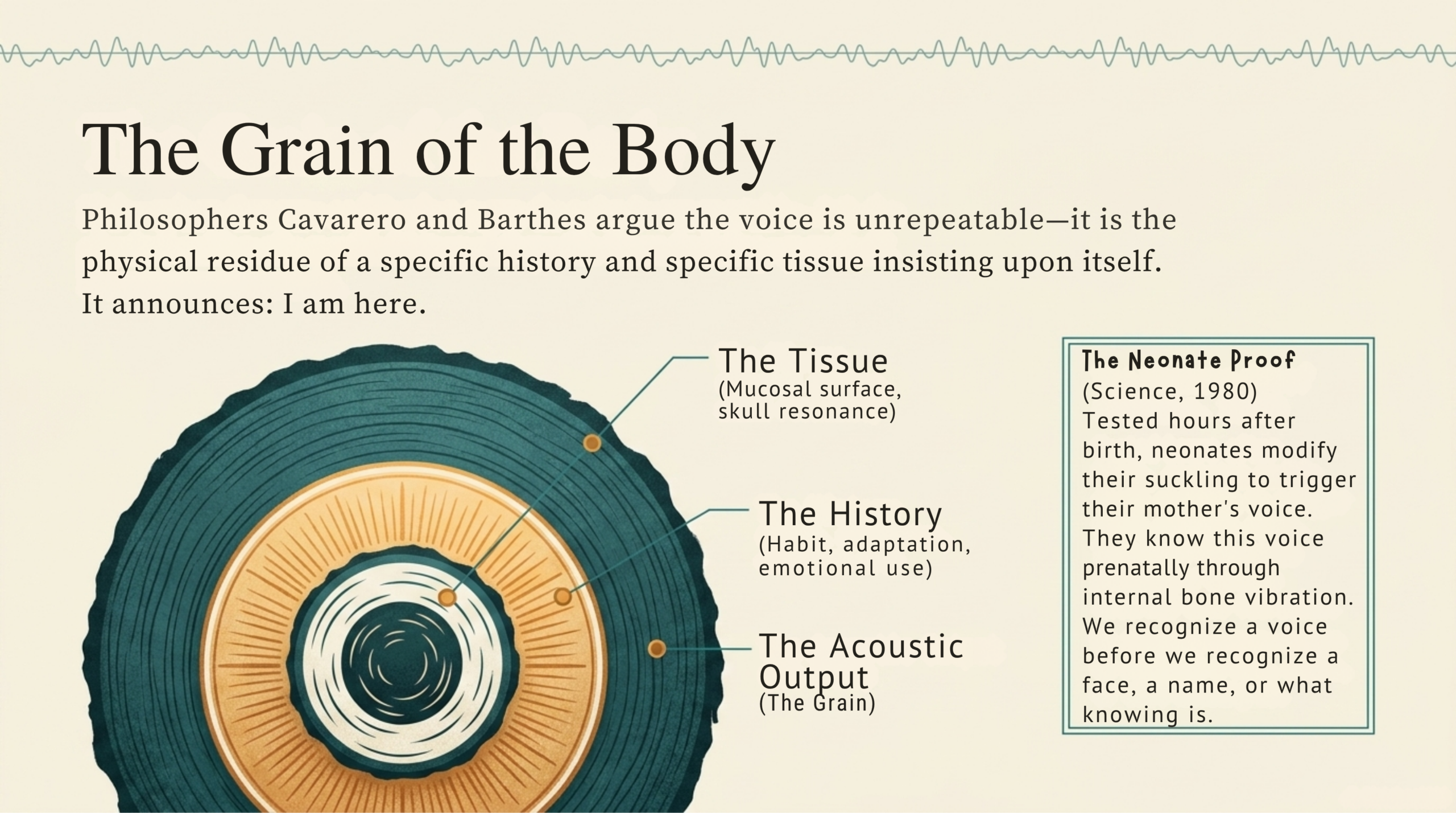 The grain of the body — Cavarero and Barthes on voice as unrepeatable identity, showing tissue, history, and acoustic output layers, with the DeCasper-Fifer neonate proof.