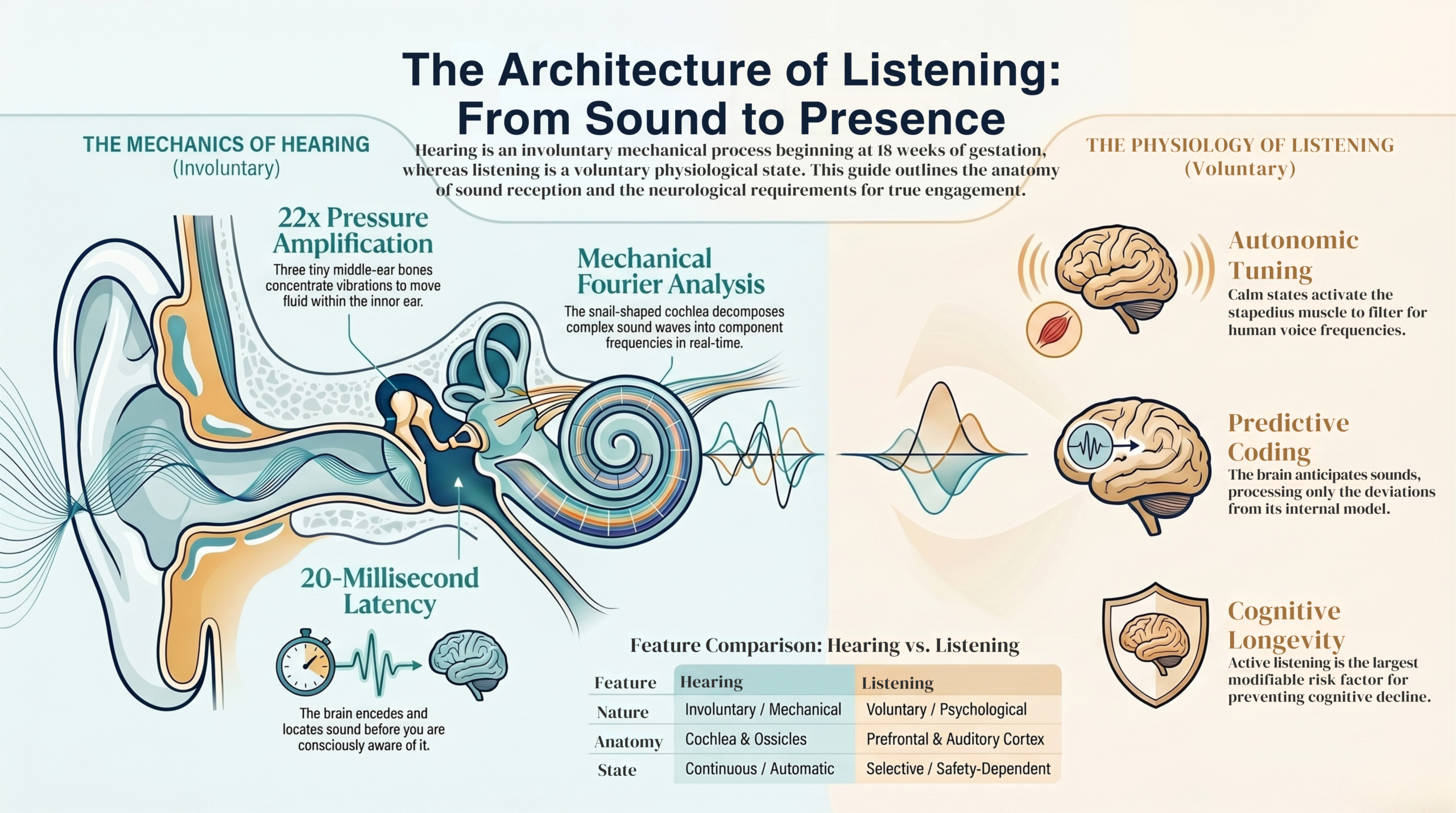 The Architecture of Listening: From Sound to Presence — mechanics of hearing vs physiology of listening