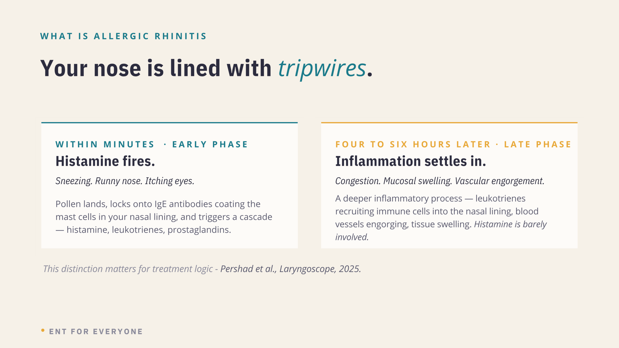 Diagram showing the early phase allergic response (histamine-driven, within minutes) versus the late phase response (inflammation and congestion, 4–6 hours later)