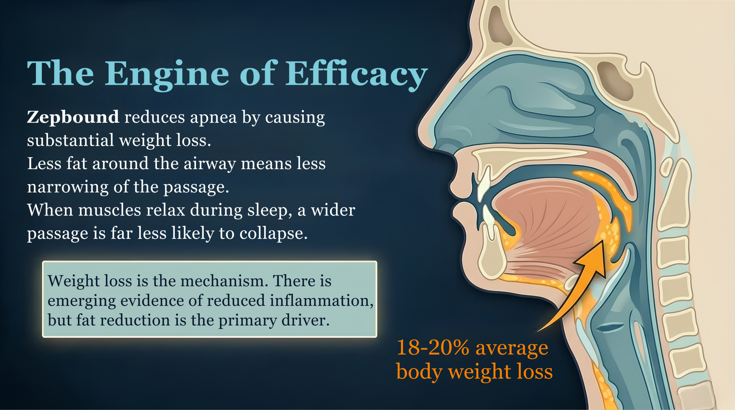 Infographic: Zepbound for Sleep Apnea — how it works, who it helps, and a reality check vs CPAP showing 80–90% apnea reduction with CPAP versus 51–59% with tirzepatide